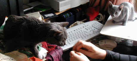 Picb0945.jpg (60516 Byte)