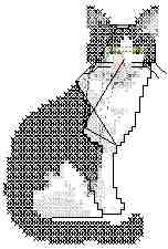 Zwartekater.jpg (7089 Byte)