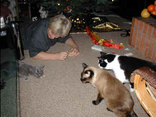 Jiltje und Tom schauen zu