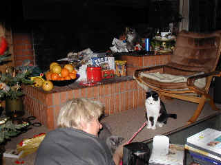 Roosje im Hintergrund