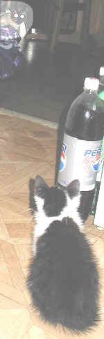 Jltche - klicke links oben dann erscheint Foto