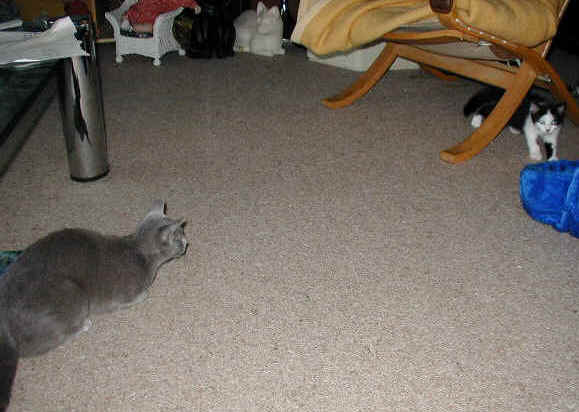 PId71810.JPG (67884 Byte)