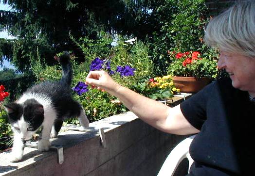 aus_PId72812.JPG (45745 Byte)