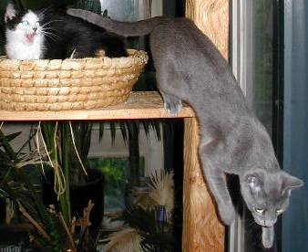 auch im Forum foto's