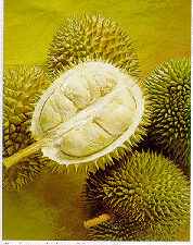 durian