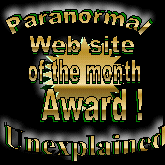 Panorama Web Site Award