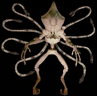 This is an alien from the movie Independence Day. He'll kick your ass if you don't sign my guestbook