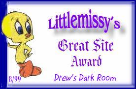 Littlemissy's Great Site Award