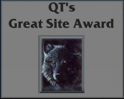 QT's Award