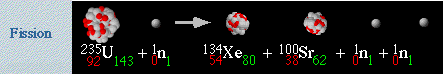 Fisi>n Nuclear del ~tomo de Uranio-235, liber~ndose 2 neutrones, Xenon, Estroncio y Energ-a