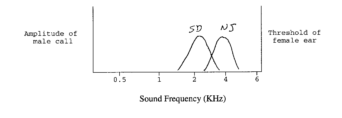 /sc/gmlbiology/images/bio534test2q8.jpg (67284 bytes)