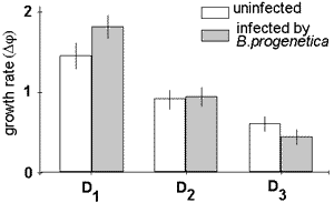 pap97f6.gif (4028 bytes)