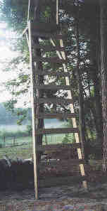 16' Ladder Rail-1