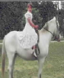 mtbridh.jpg (43904 bytes)