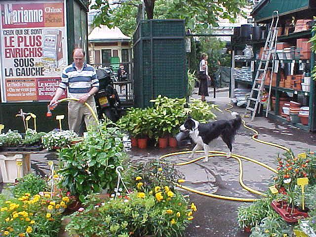 Sign written en Fran�ais