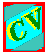 CV