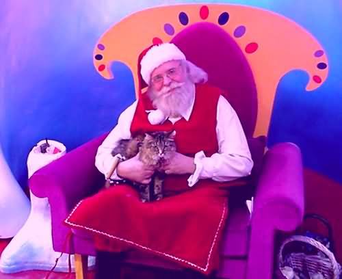 Santa Claus and feline friend