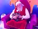 Click to see larger picture of Santa and the tabby cat