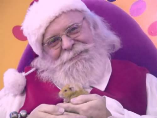 Santa Claus and canine friend 