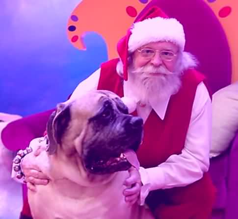 Santa Claus and canine friend 