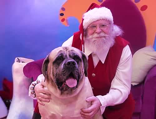 Santa Claus and canine friend 