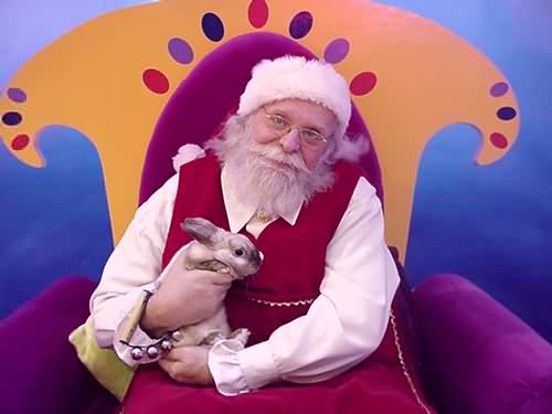 Santa Claus and feline friend