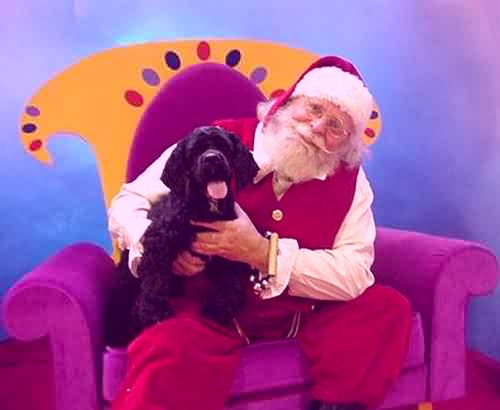 Santa Claus and canine friend
