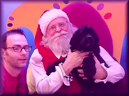 Santa Claus and spaniel 