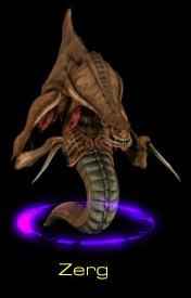 Zerg info click here