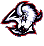 Sabres logo