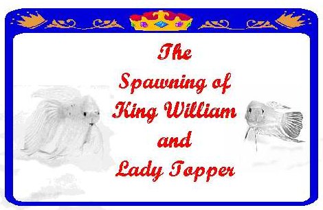 The Spawning of King William and Lady Topper