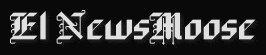 The NewsMoose Banner