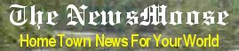 The NewsMoose Banner
