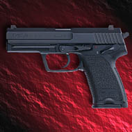 hk42.JPG (13237 Byte)