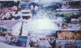 livelihood.jpg (17823 bytes)