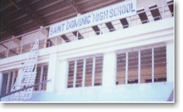 sdominic.jpg (13523 bytes)