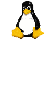 penguin zone