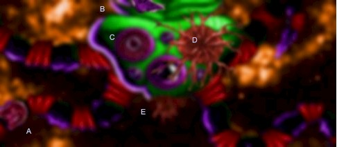 auto7.jpg (22410 bytes)