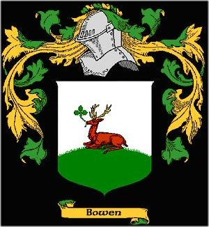bowensealirih.JPG 300x326