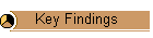 Key Findings