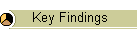 Key Findings