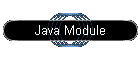 Java Module