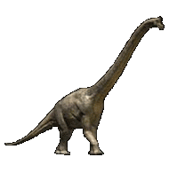 Brachiosaurus - dinosaur