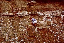 Fossil Hunting - photograph