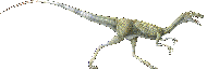 Compsognathus - dinosaur