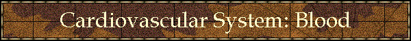 Cardiovascular System: Blood