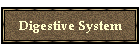 Digestive System