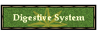 Digestive System