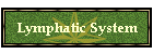 Lymphatic System