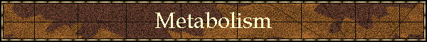 Metabolism